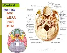 九游体育官网-rao抡