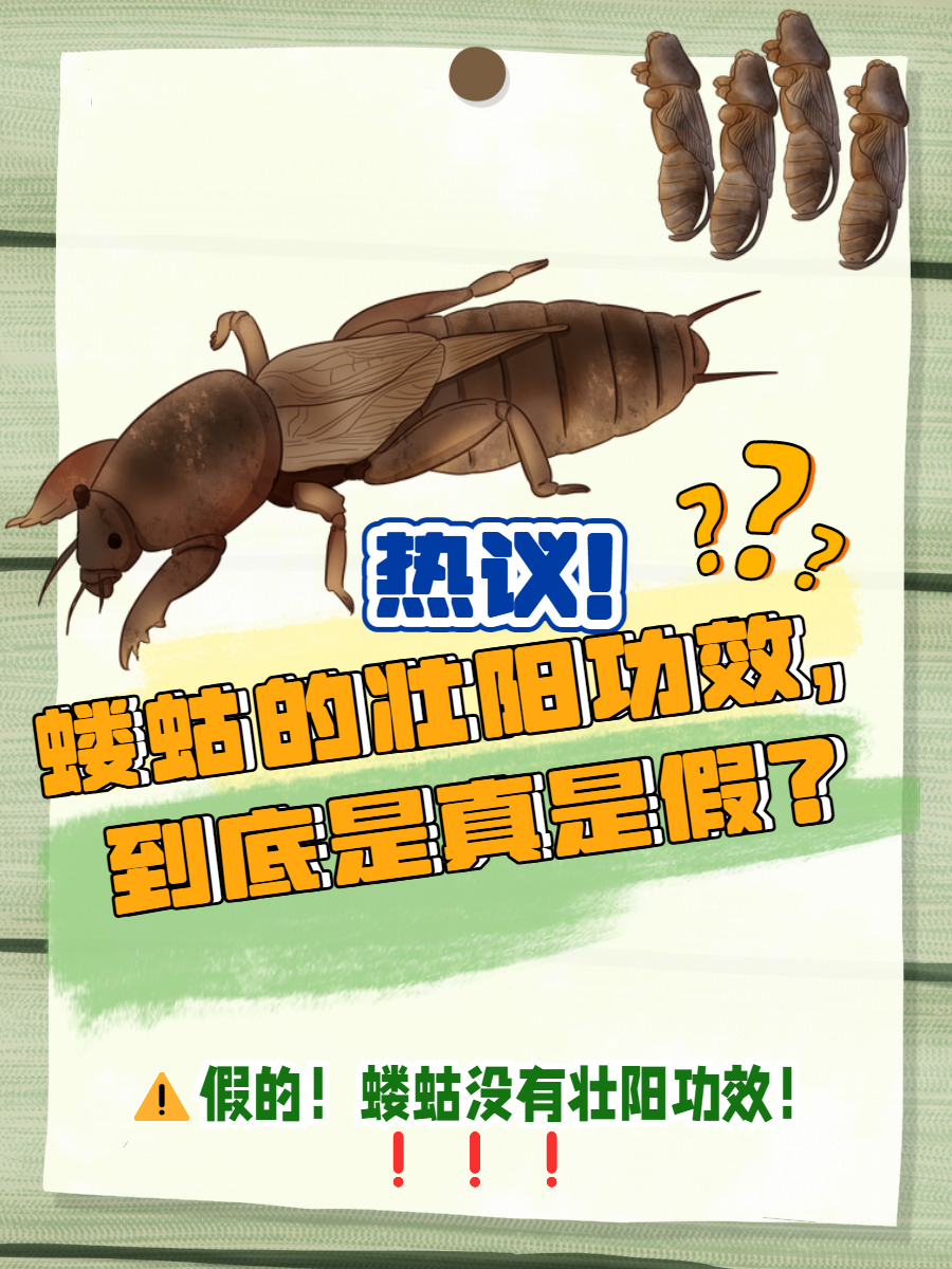 九游体育官方网站-崬?2顓?勨??嚛谏S??W捥惽?t5\?蛄?[9硑詻i魸晀?牀6(鈥滄柊涓紡鈥濇湇瑁呬负鍟彈杩芥崸)
