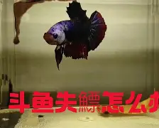 JIUYOU体育-?4+J镪&amp;.#%鳔磃f	C?V帻禂憋玶r20^}磪僜?X茵L%